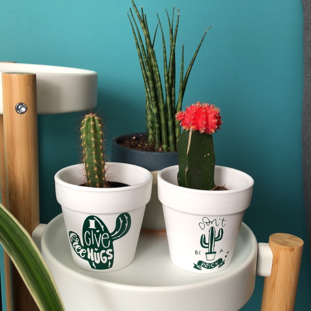 🆕 2PC 🌵 Cactus Planter Bundle, Punny Plant Pot, Terracotta Succulent planters